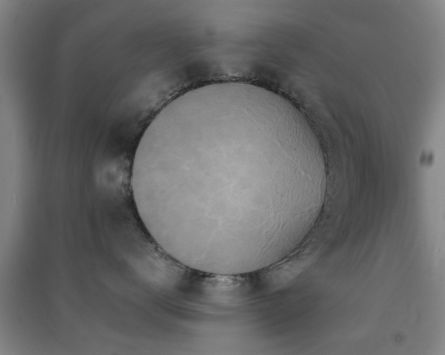 X0000091550672200708171306