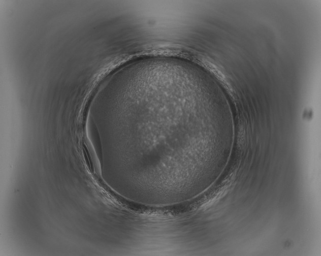X0000091550673200708171306