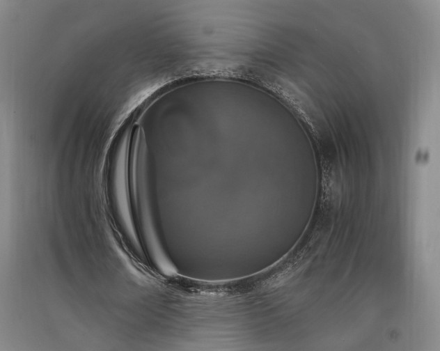 X0000091550674200708171306