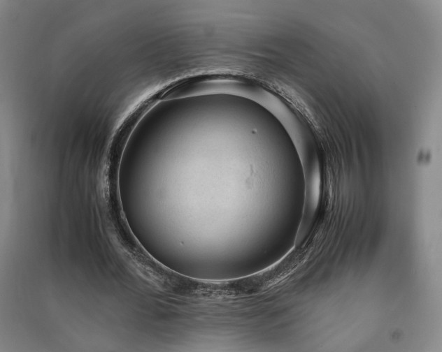 X0000091550676200708171306