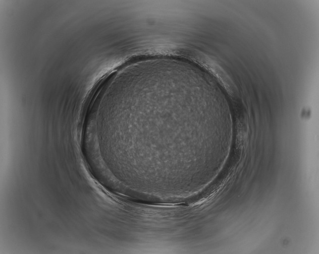 X0000091550677200708171306
