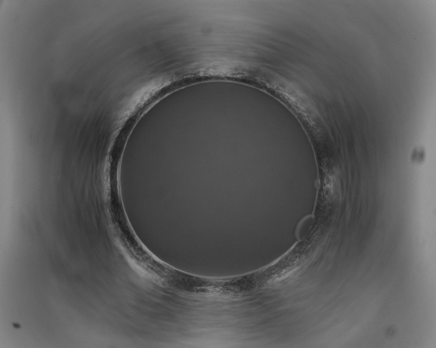 X0000091550678200708171306