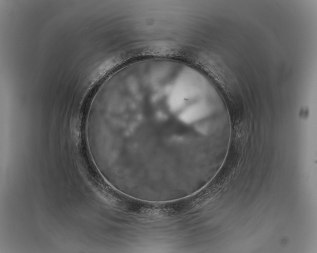 X0000091550679200708171306