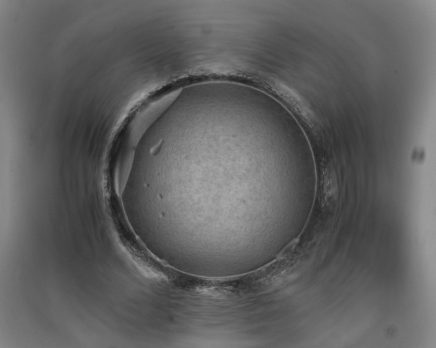 X0000091550680200708171306