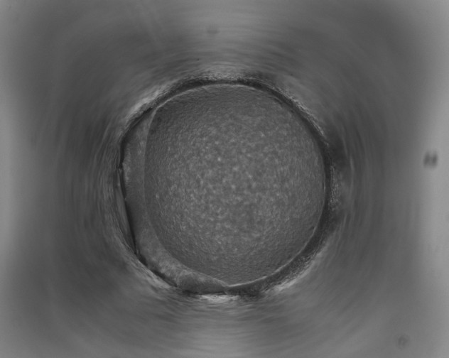 X0000091550681200708171306