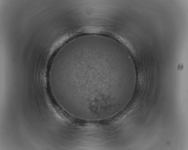 X0000091550682200708171306