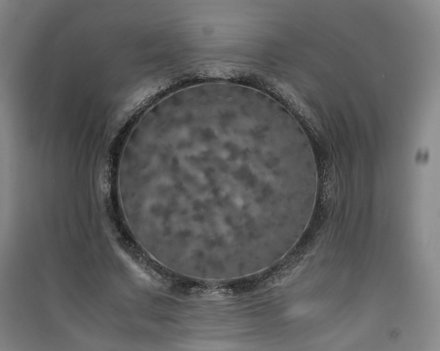 X0000091550683200708171306