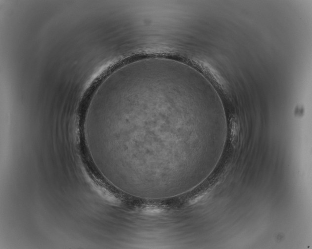 X0000091550684200708171306