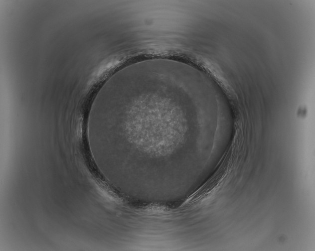 X0000091550685200708171306
