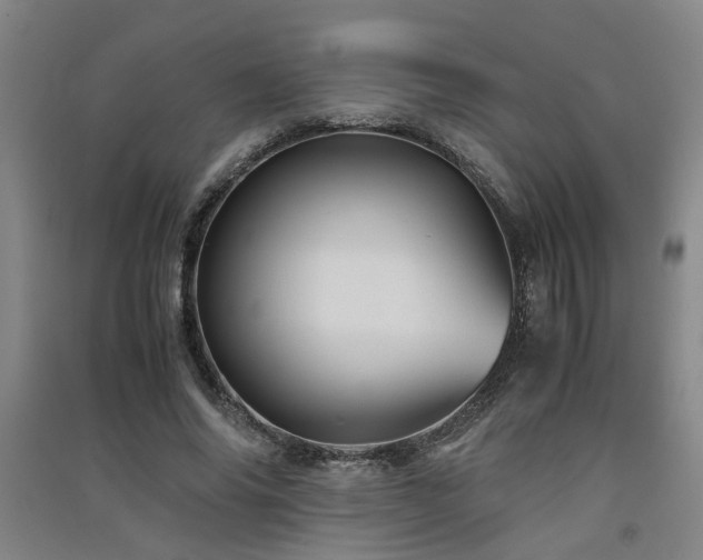 X0000091550686200708171306