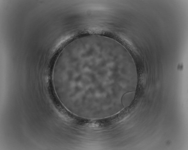 X0000091550687200708171306