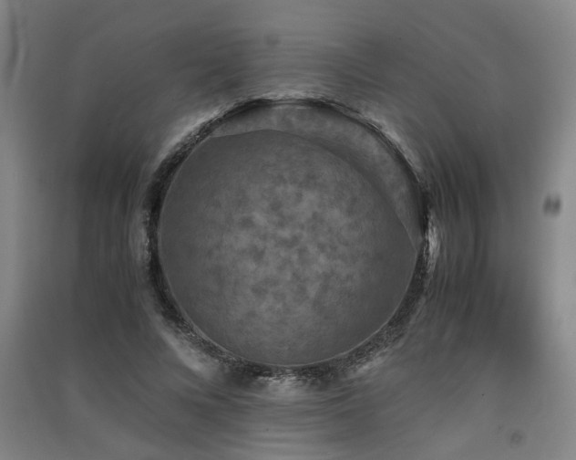 X0000091550688200708171306