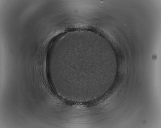X0000091550689200708171306