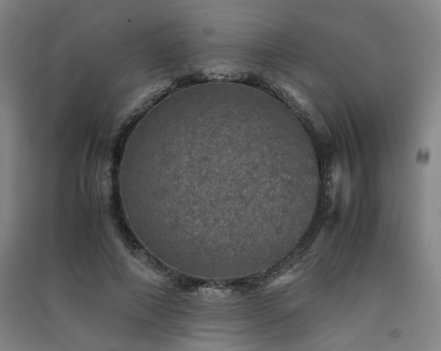 X0000091550690200708171306