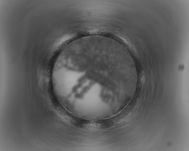 X0000091550691200708171306