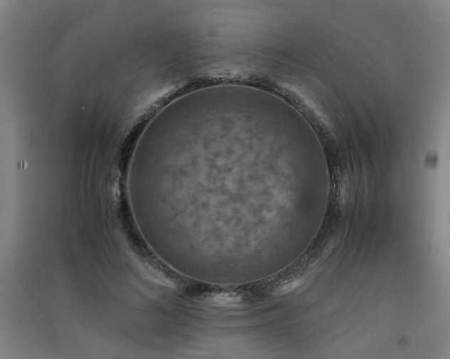 X0000091550692200708171306