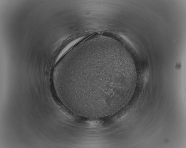 X0000091550693200708171306
