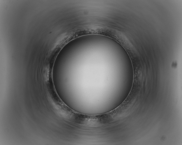X0000091550694200708171306