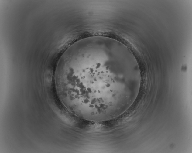 X0000091550695200708171306