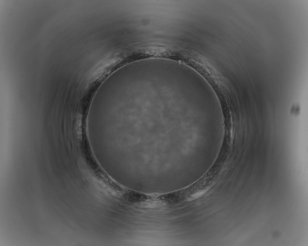 X0000091550696200708171306