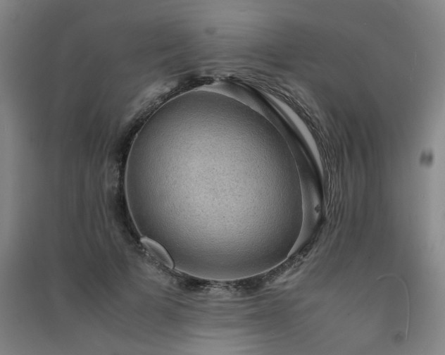 X0000091550697200708171306