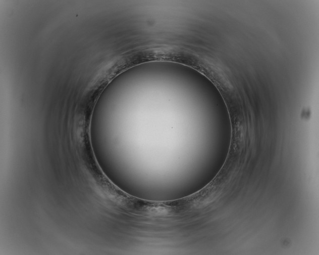 X0000091550698200708171306