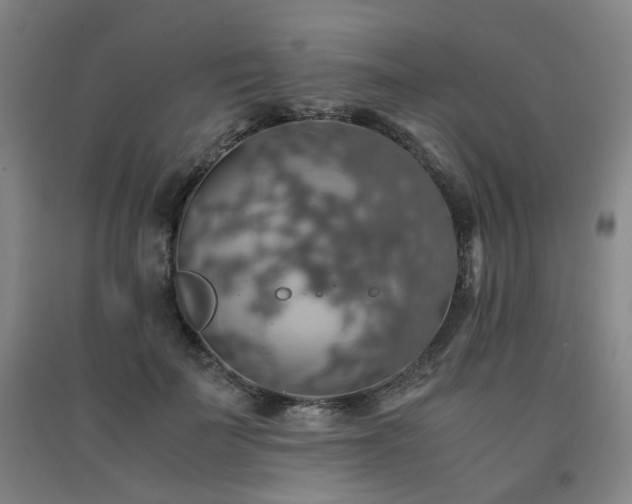 X0000091550699200708171306