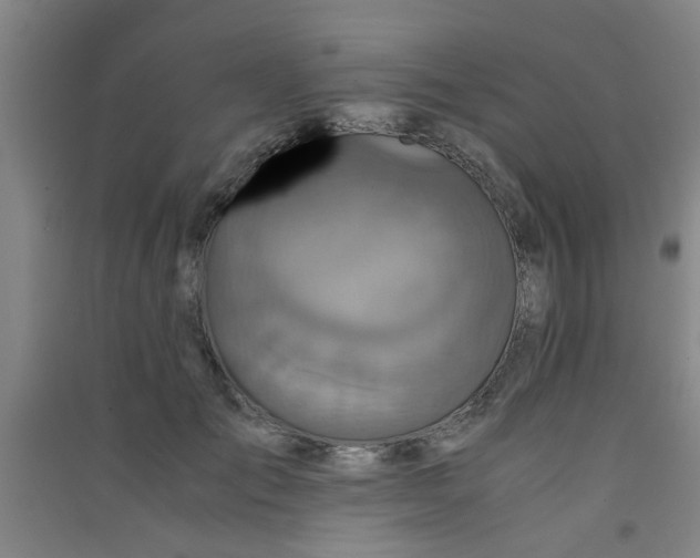 X0000091550701200708171306