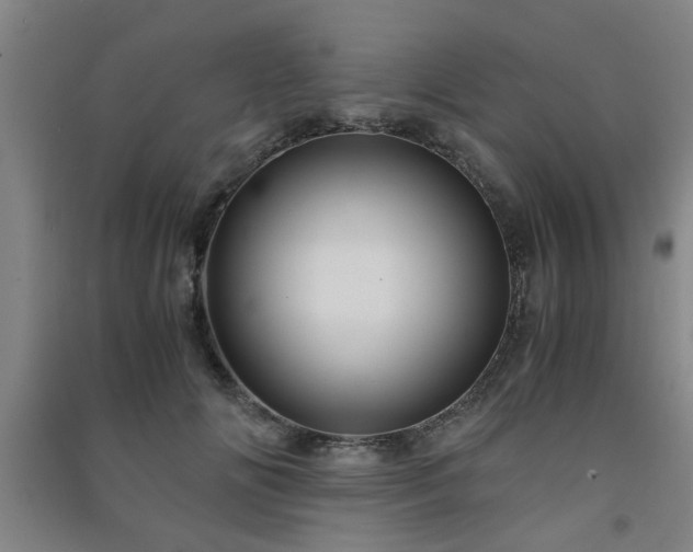X0000091550702200708171305