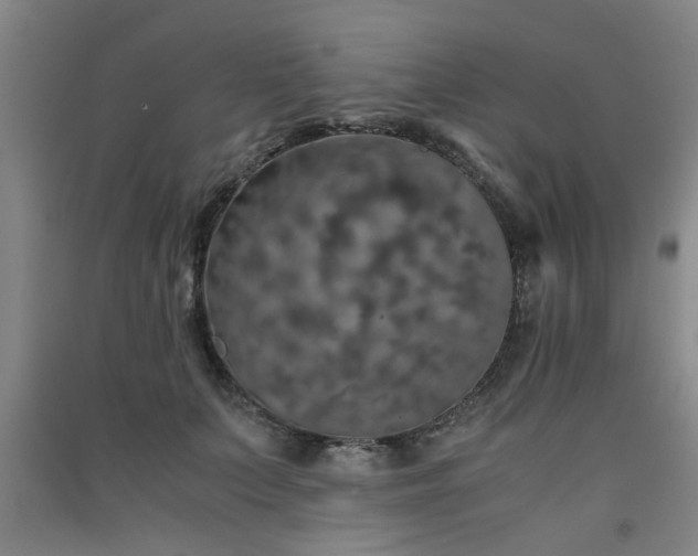 X0000091550703200708171305