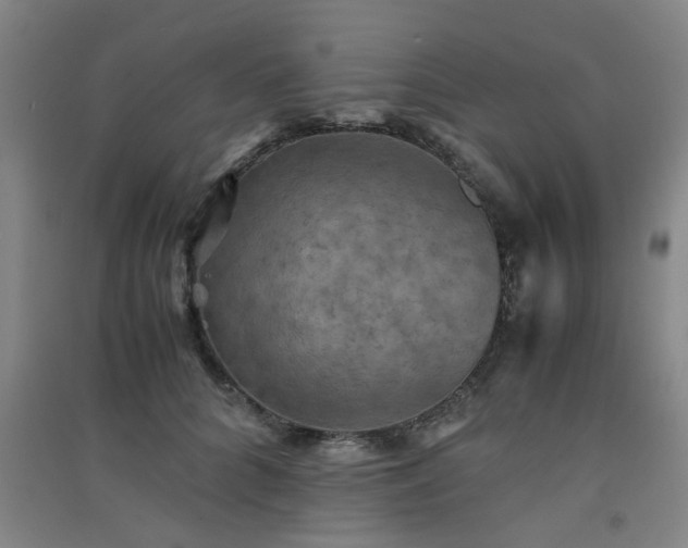 X0000091550704200708171305