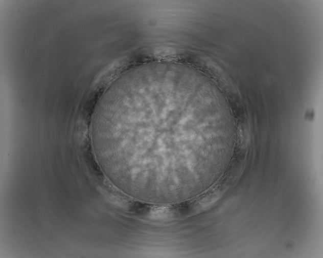 X0000091550705200708171305
