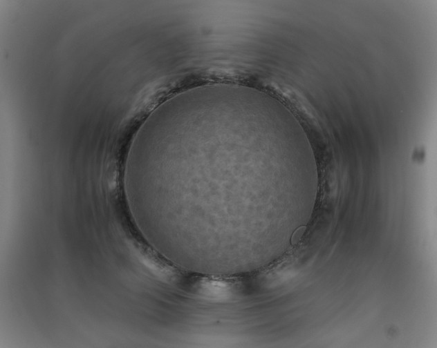 X0000091550706200708171305