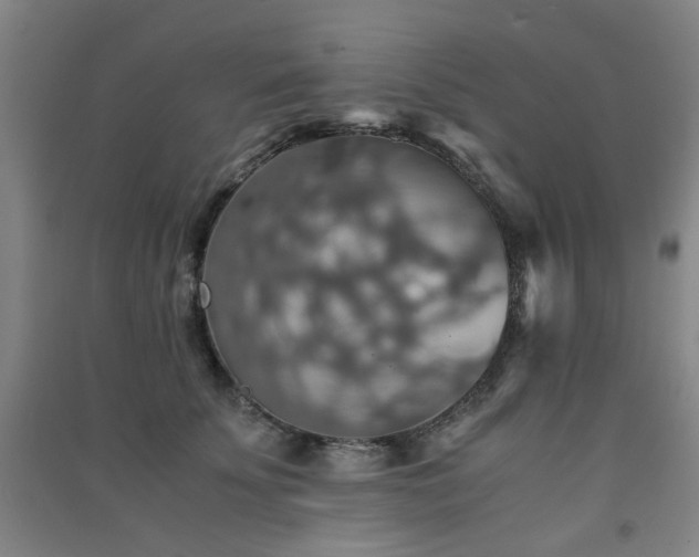X0000091550707200708171305