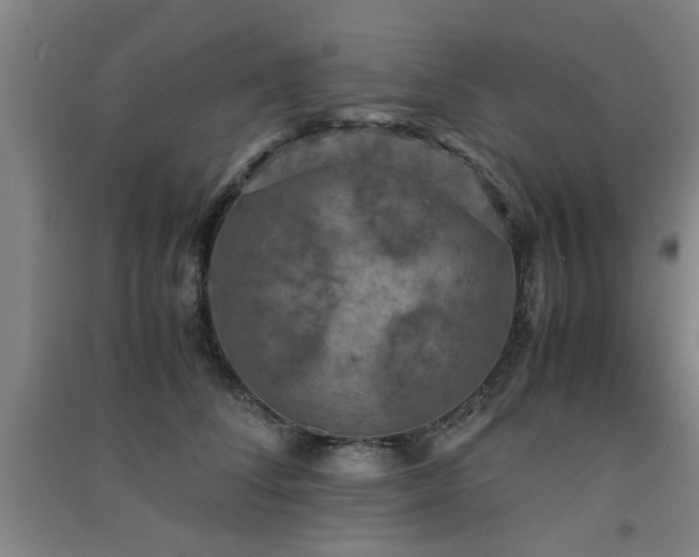 X0000091550708200708171305