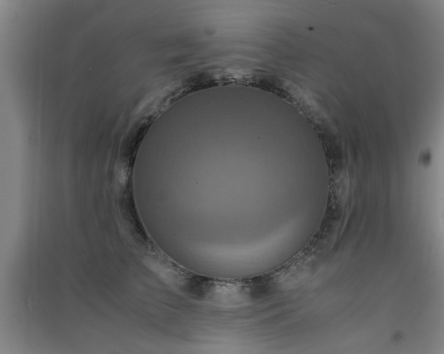 X0000091550709200708171305