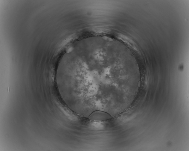 X0000091550710200708171305