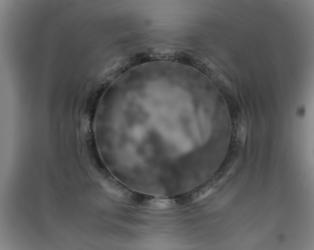 X0000091550711200708171305