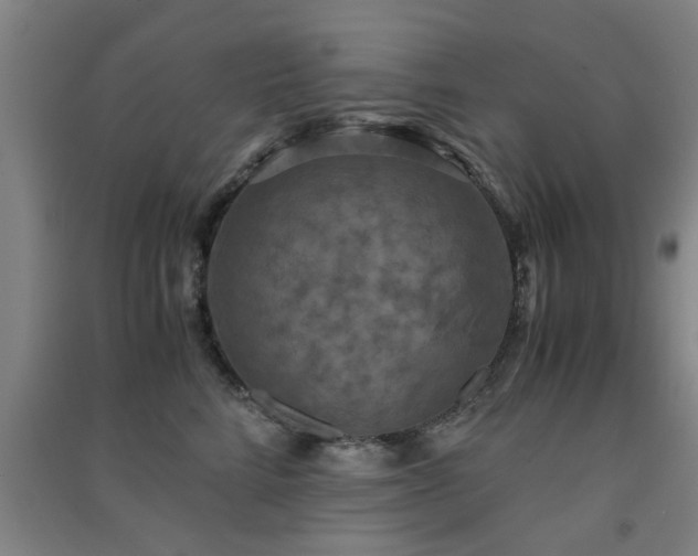 X0000091550712200708171305