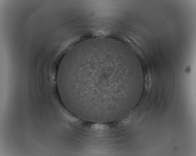 X0000091550714200708171305