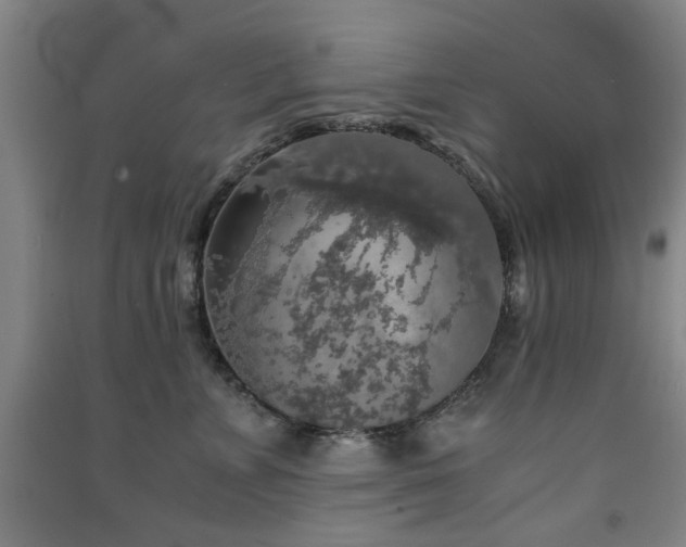 X0000091550715200708171305