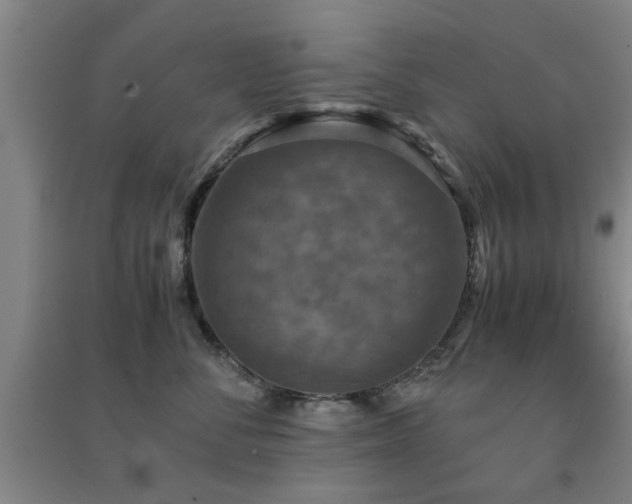 X0000091550716200708171305