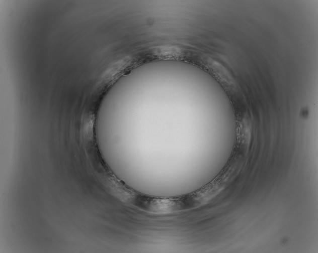 X0000091550717200708171305