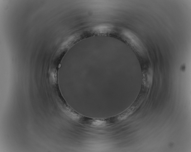 X0000091550718200708171305