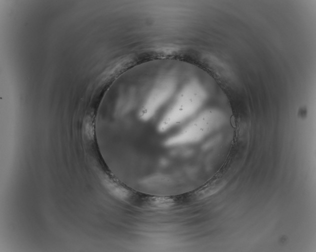 X0000091550719200708171305