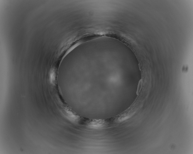 X0000091550720200708171305
