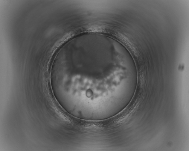 X0000091550721200708171305