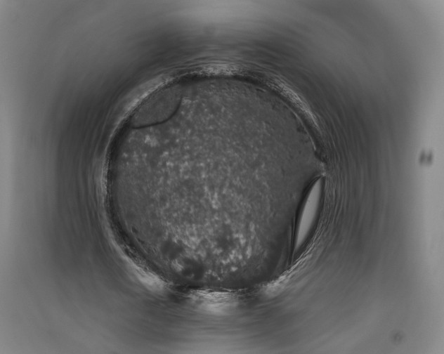 X0000091550722200708171305