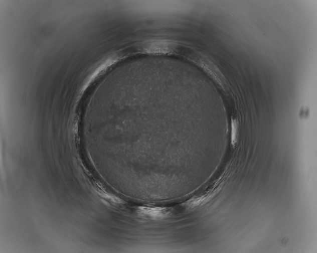 X0000091550723200708171305
