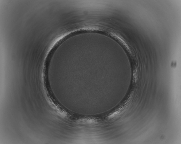 X0000091550724200708171305